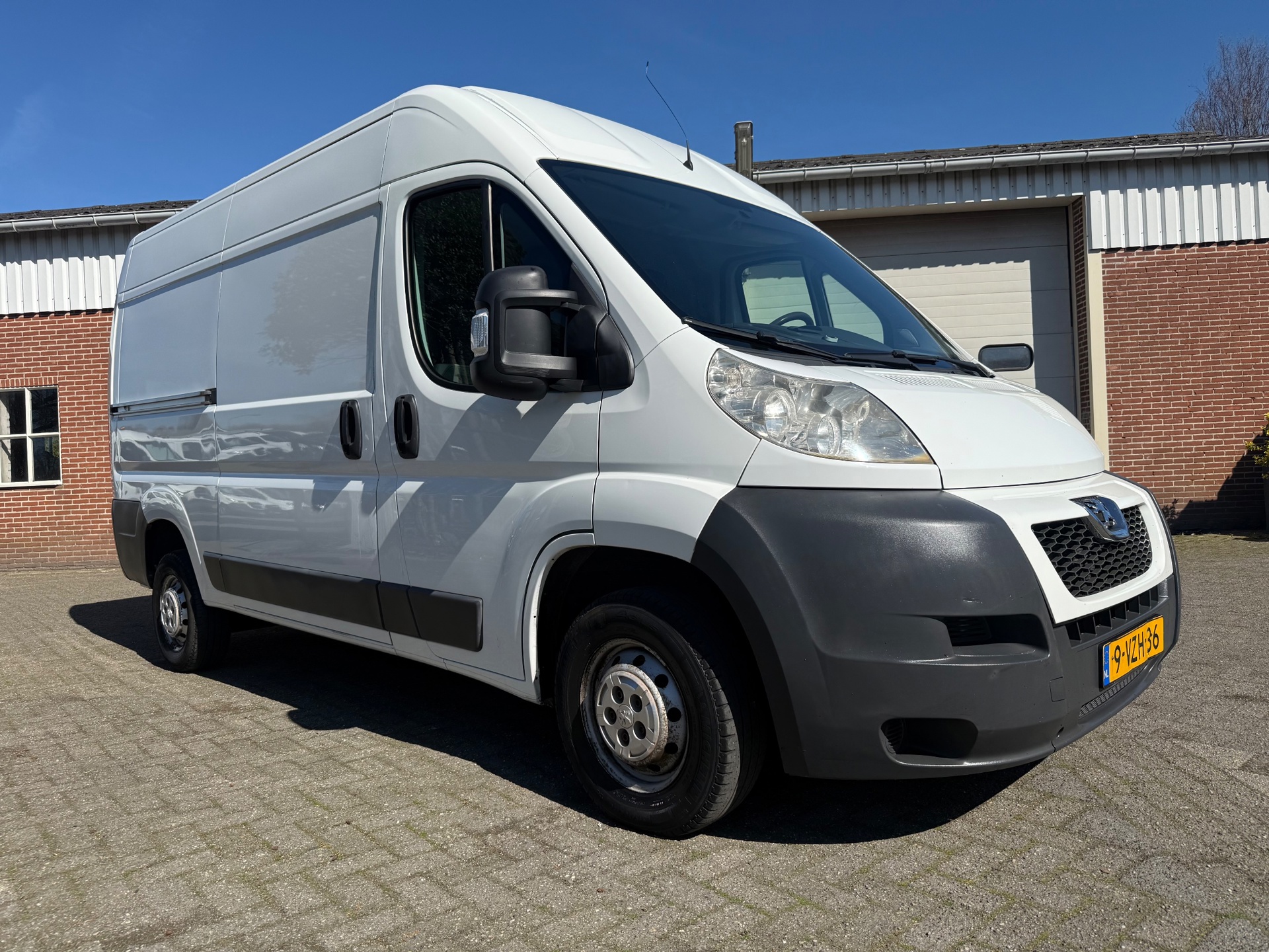 52550058-23.jpg